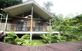 Mulu National Park