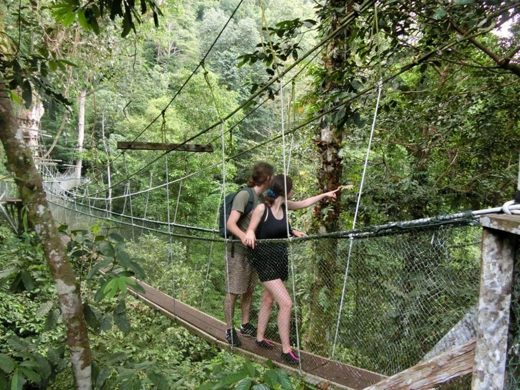 Mulu National Park Hotel Buitenkant foto